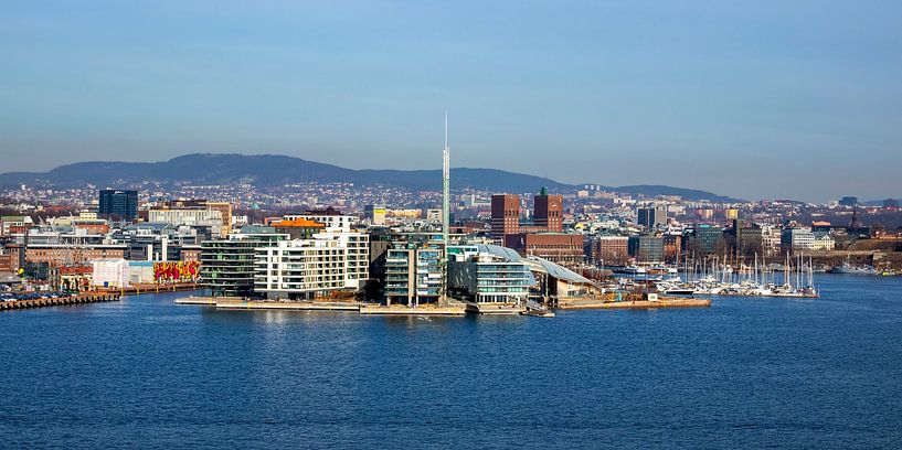 View of Oslo, Norway by Adelheid Smitt