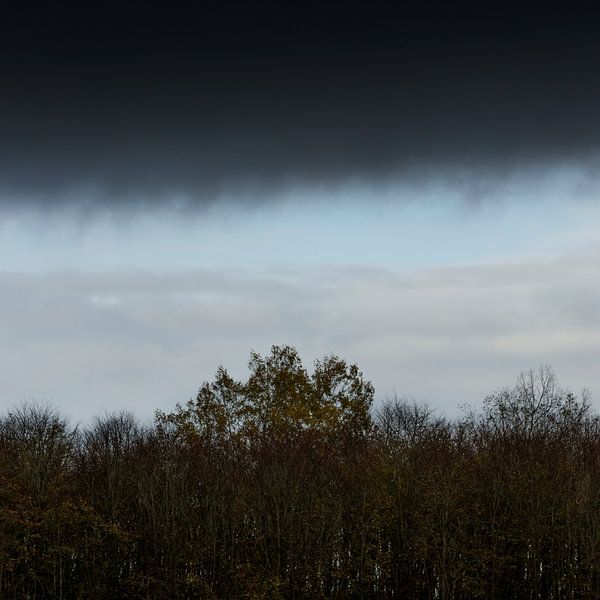 Dark clouds in an autumn forest by Rene  den Engelsman