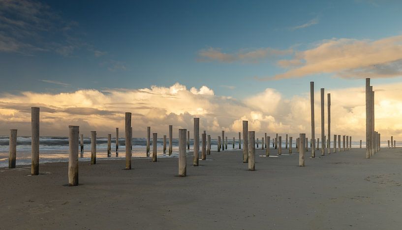 Palmendorf Petten bei Sonnenuntergang. von Menno Schaefer