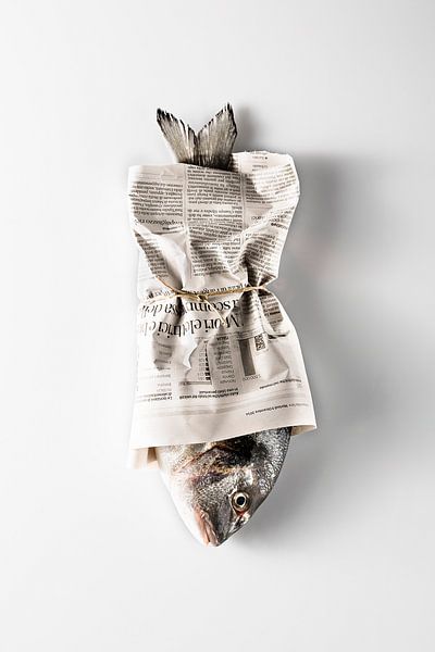 Fisch von Dennis Robroek