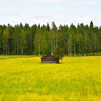Shed in Sweden