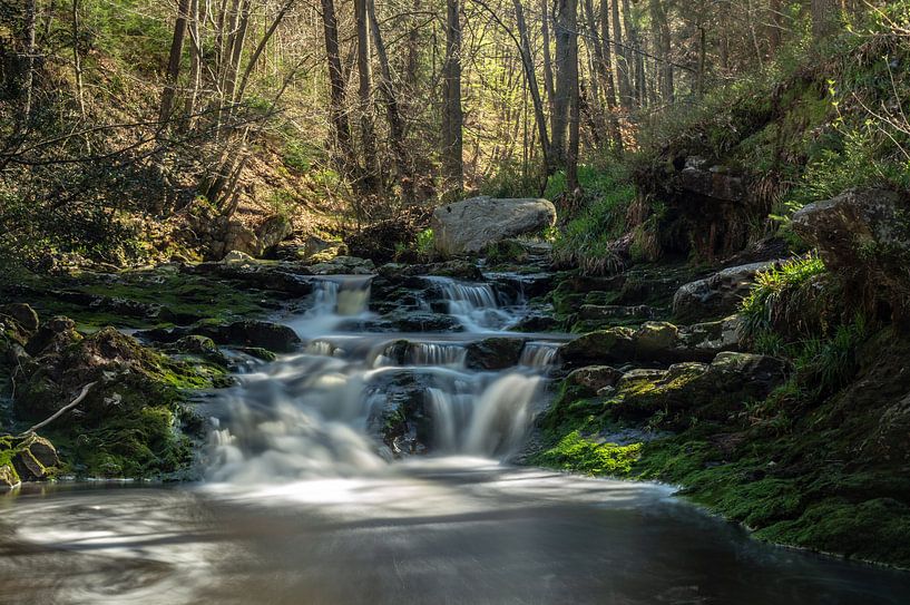 Wasserfall in Belgien von Roy Schmidt