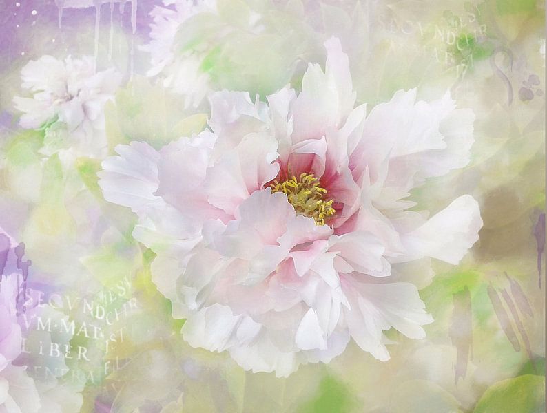 New Flower #11 von Lizzy Pe