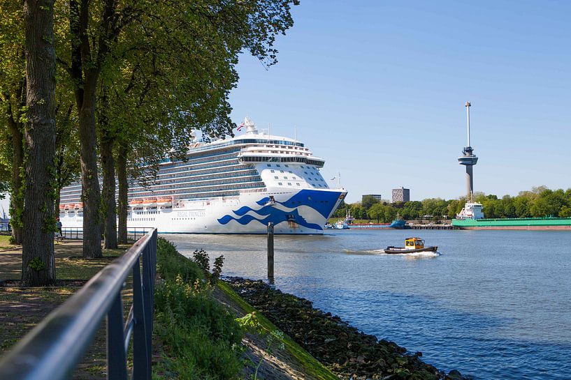 Ankunft Kreuzfahrtschiff in Rotterdam von Rob Altena