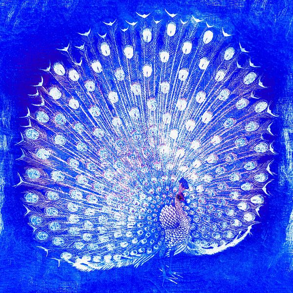 Paon en bleu cobalt par Mad Dog Art
