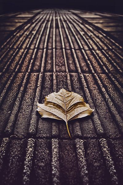 Lichterkette an der Blindenstraße in der Nähe des Groninger Hauptbahnhofs - für Stadt- und Lichtliebhaber von Elianne van Turennout