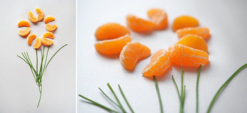  Collage Orange Fruit by Wendy Bos