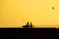 Surftransport auf niederländische Art