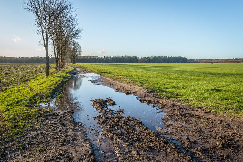 Schlammige niederländische Landstraße mit Wasserpfützen von Ruud Morijn