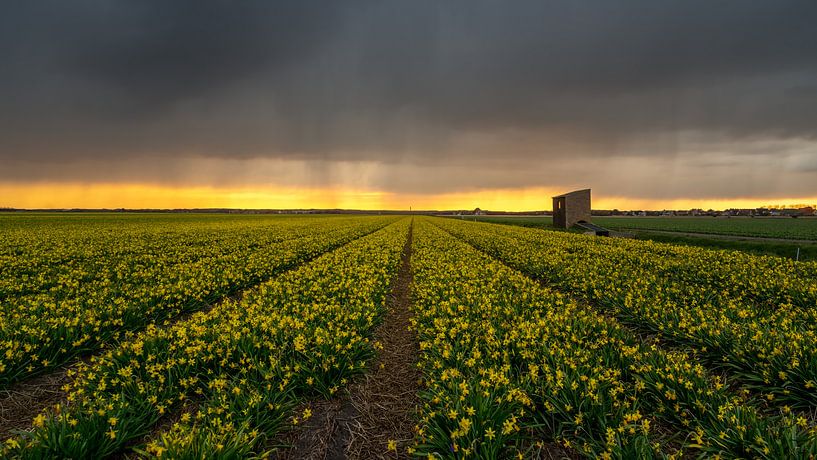 Buien by Klaas Fidom