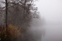 Nebel am See