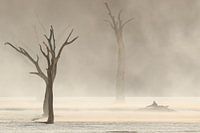 Sandy current in Deadvlei