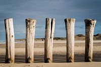 Wellenbrecher cadzand beach niederlande