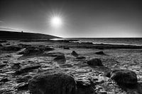 Wattenküste Wierum Friesland