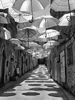 Parapluies Festa Paciano Noir et Blanc