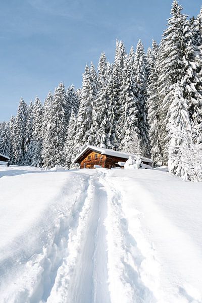 Alpine hut in winter with lots of snow in portrait format by Leo Schindzielorz