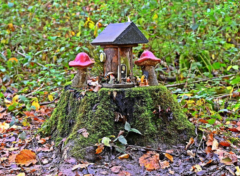 Zwerghaus mit Pilzen von Jose Lok