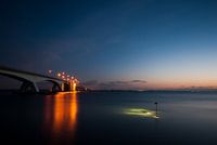 want to dive in to your ocean