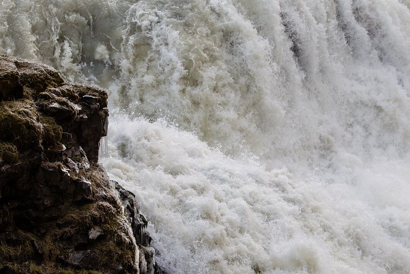 Island von Eric van Nieuwland