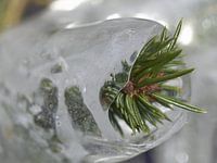 Der Frühling kommt! IV