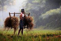 sur le chemin du retour