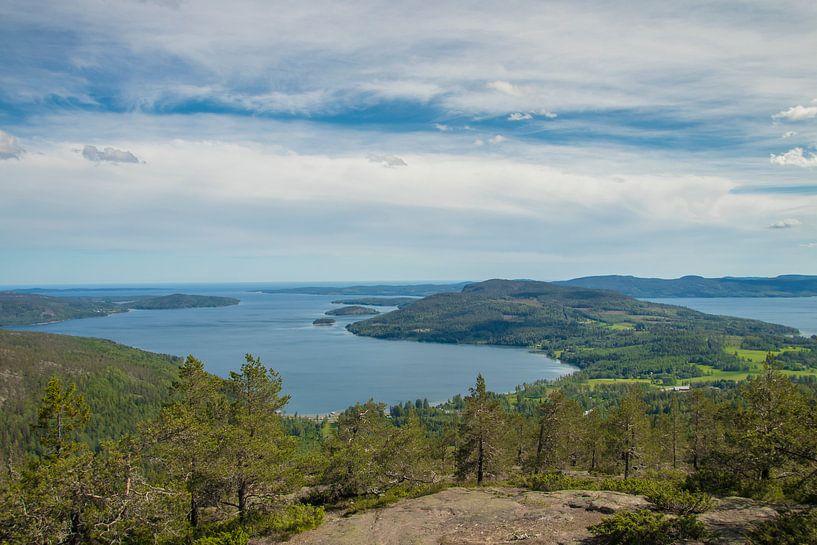 Green Sweden by Evelien van der Horst