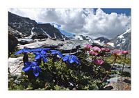 stand houden op grote hoogte