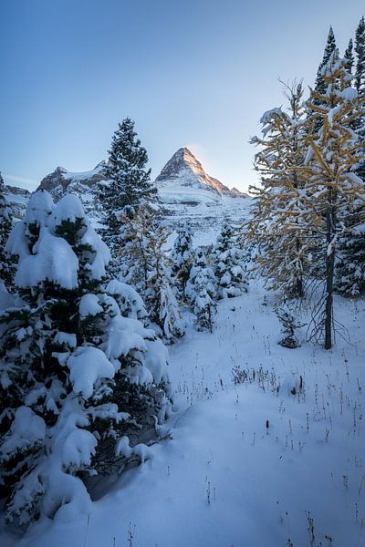 Kanada Schneelandschaft von Remco van Adrichem