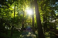 Park Doornburgh (Maarssen)