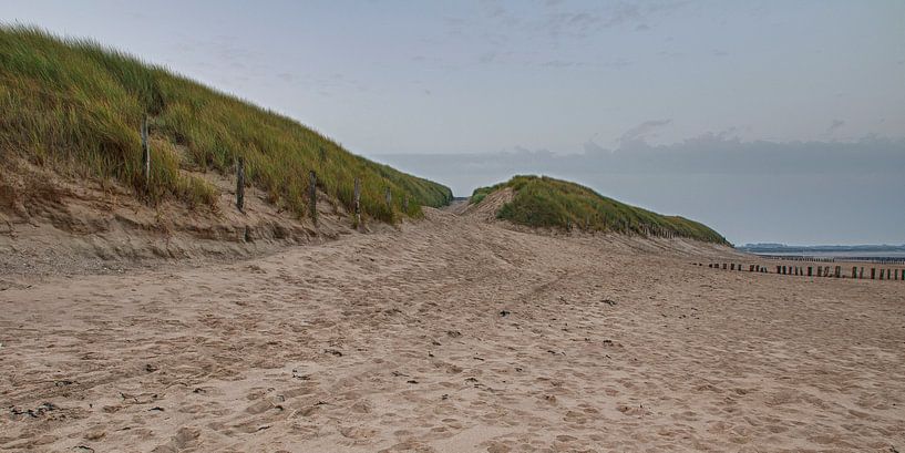 Cadzand-Bad, Het Zwin, Knokke, Zeebrugge (3) von Dirk Huckriede