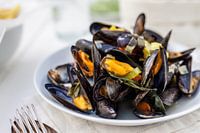 Mussels