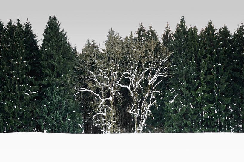 Der Eingang von Jacques Vledder