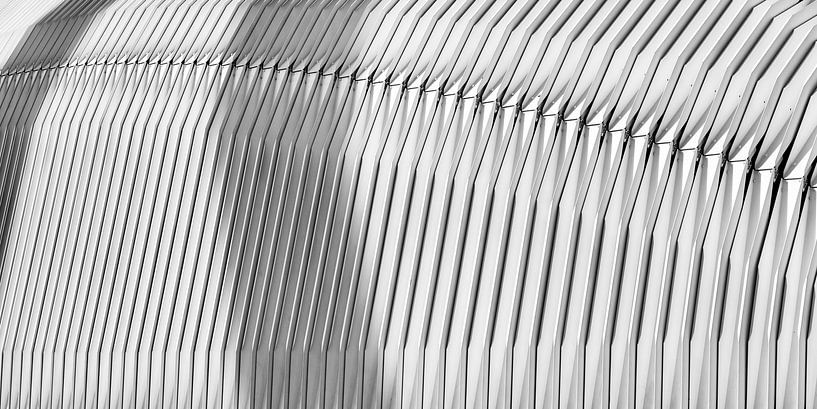 Ciudad de las Artes y Ciencias, Valancia par Rob van der Teen