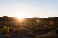 Dead valley United States