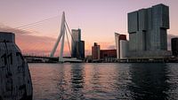 Kop van Zuid du Scheepsvaartkwartier à Rotterdam