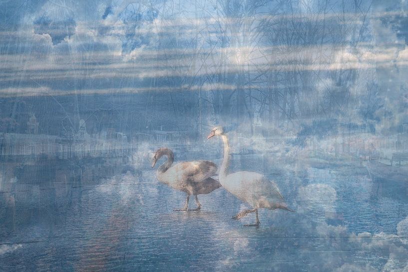 Les cygnes ensemble pour toujours par Art. by Janine