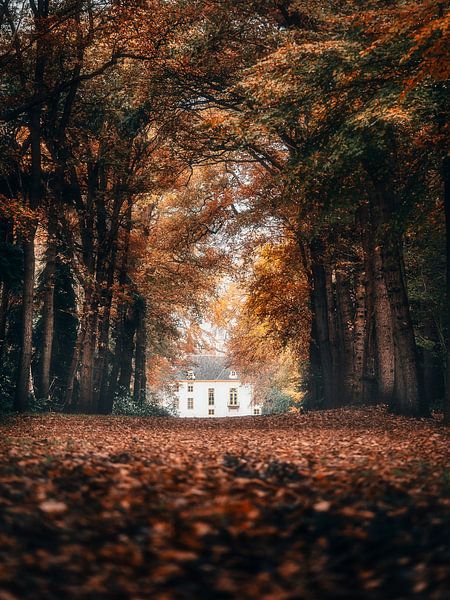 Fraeylemaborg im Herbst von Daniël de Jong