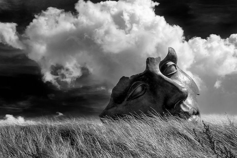 Quand nous étions des dieux par Cho Tang