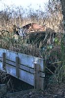 Das unerreichbare Boot im Schilf