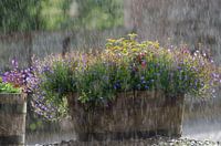 I'm standing in the rain...