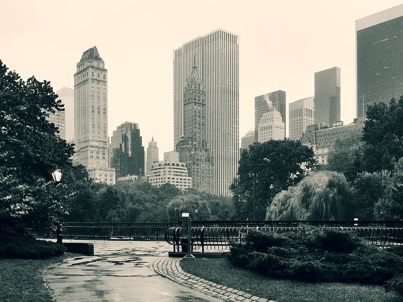 Central Park - New York City par Guido Heijnen