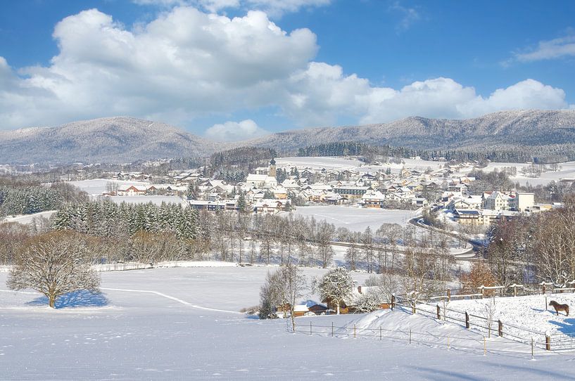 Drachselsried im Bayerischen Wald von Peter Eckert