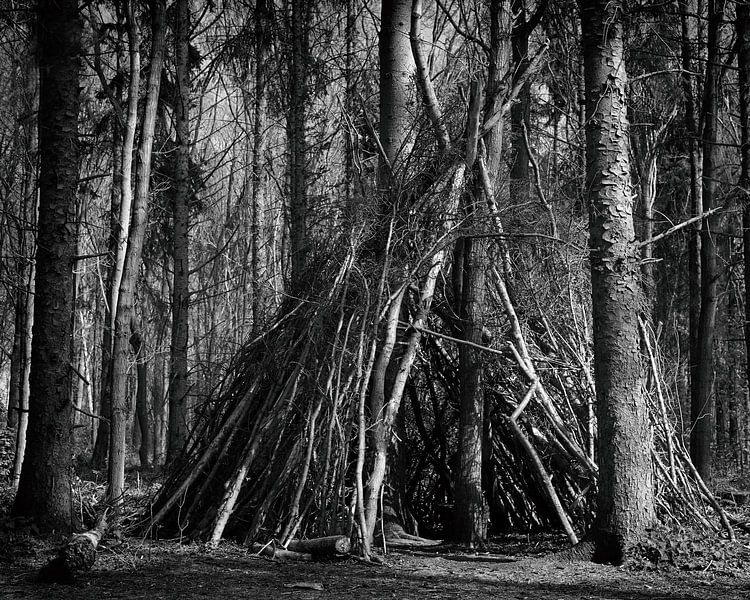 Forrest Live van Saskia Schotanus