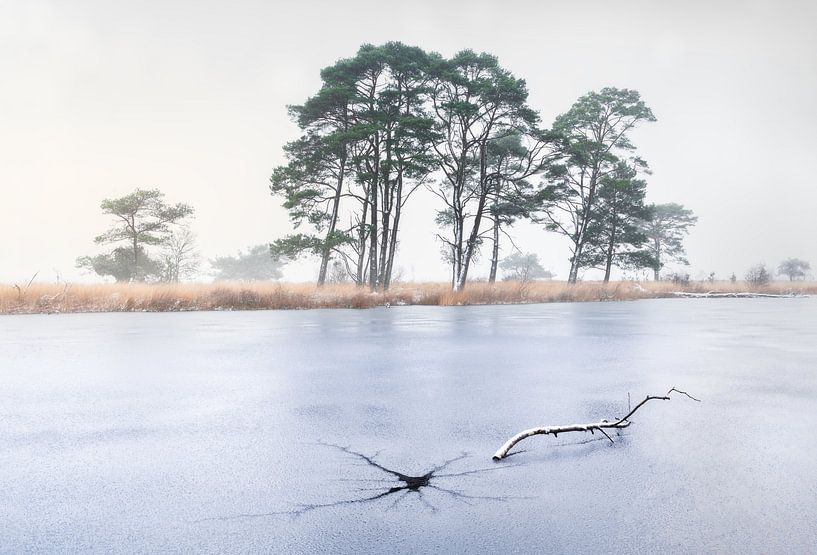 Crack in the ice by René Vierhuis