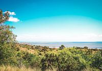 View of Vlieland and the Wadden Sea