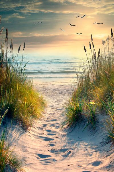 Strandweg Sonnenuntergang von Poster Art Shop