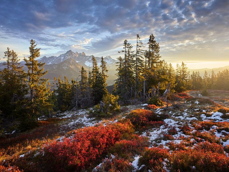Sonnenaufgang am Rossbrand II von Rainer Mirau