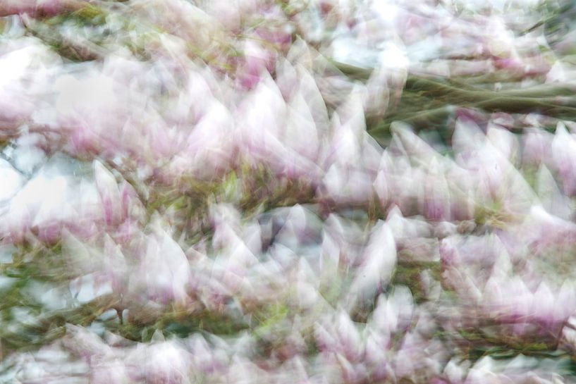 DE WINDRIVIER - WINDY RIVER von HANS VAN DAM