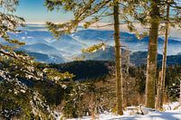 The Ortenaukreis in the Black Forest in radiant winter light.