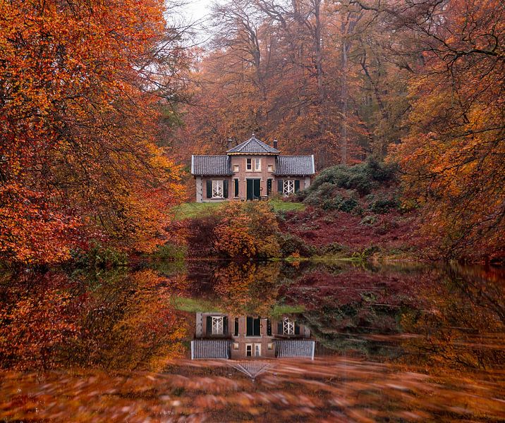 Joyaux cachés du parc Zypendaal Arnhem par Daniëlle Langelaar Photography